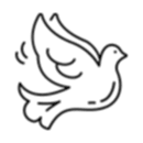dugun